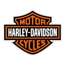 Harley Davidson Interior Automotive Touch Up